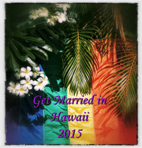 Hawaii Gay Weddings 2015