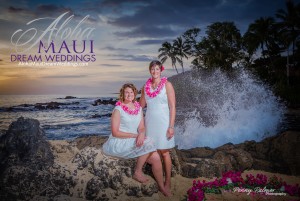 a planner for my gay wedding on Maui